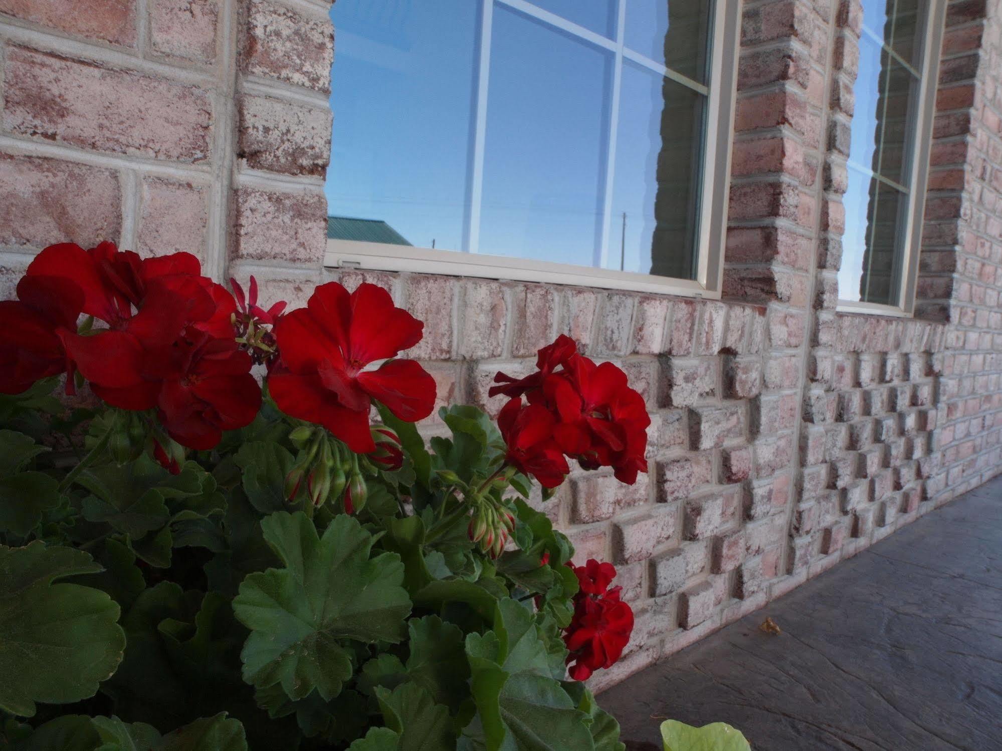 Cb&M Executive Suites Roosevelt Exterior foto
